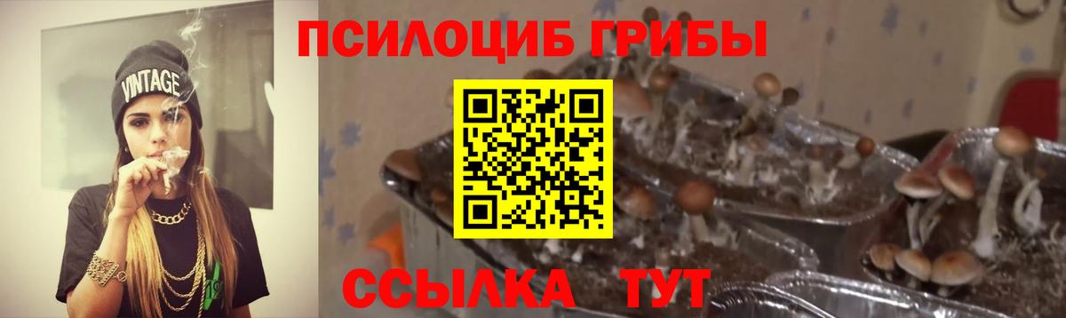 Галлюциногенные грибы Magic Shrooms Вологда